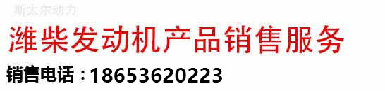 濰坊斯達(dá)斯太爾動力